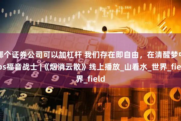 哪个证券公司可以加杠杆 我们存在即自由，在清醒梦中Cos福音战士 |《烟消云散》线上播放_山看水_世界_field