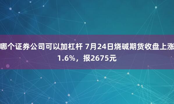 哪个证券公司可以加杠杆 7月24日烧碱期货收盘上涨1.6%，报2675元